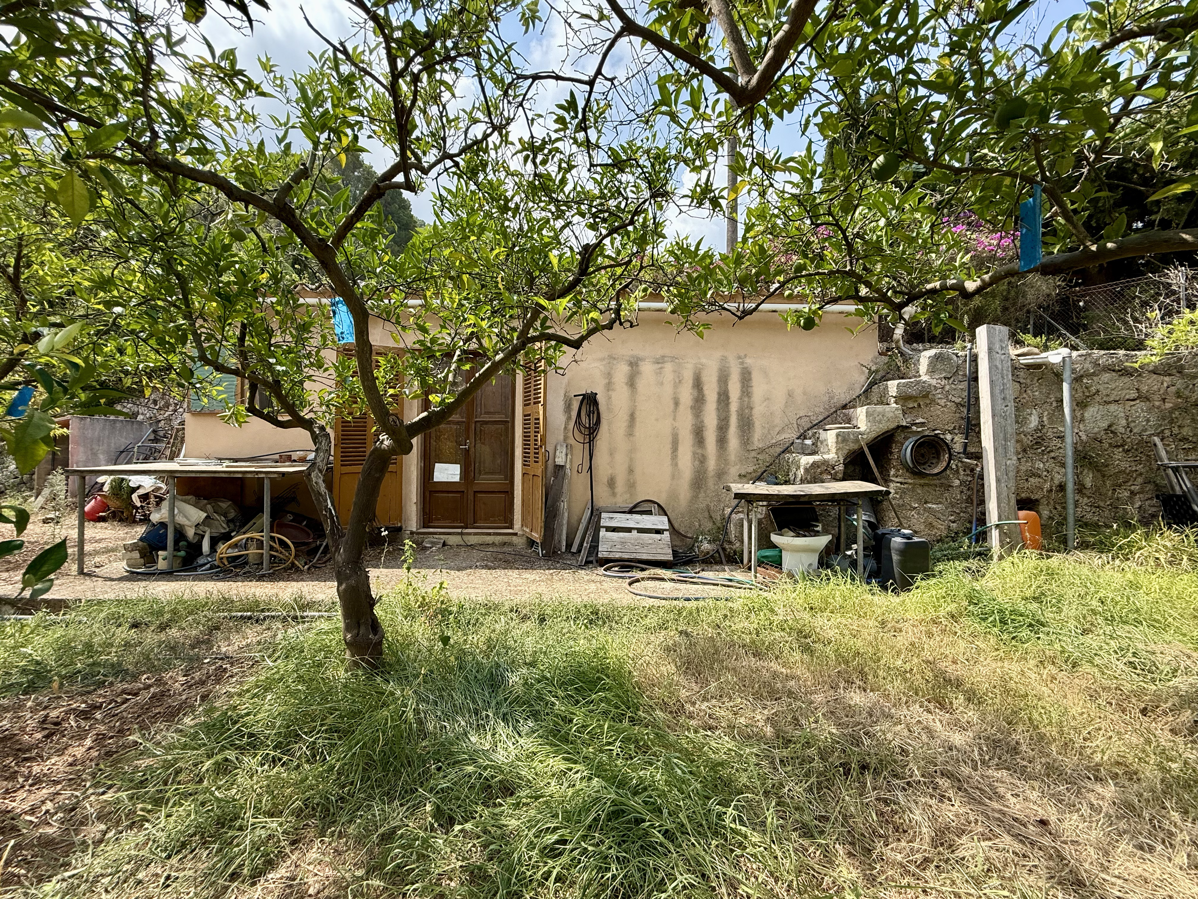 Casita rustica con huerto de naranjos y agua en propiedad