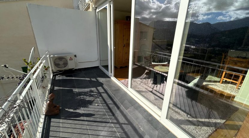 PHOTO-2026-01-17-11-40-08 6